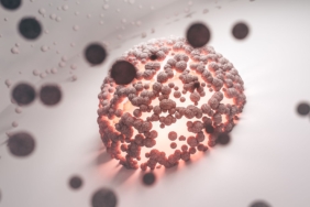 Hücrelerde protein üretimi ve taşınması üzerine yeni keşifler yapıldı
