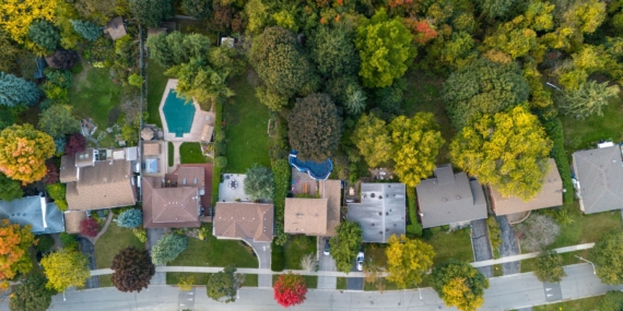 Tanglewood Forest, Buttercup Creek ve Behrens Ranch Austin'ın En Çok Tercih Edilen Mahalleleri